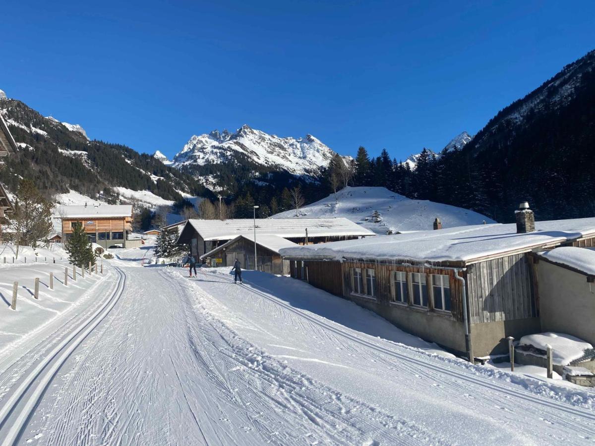 Spring Inn Apartments Meiringen Zewnętrze zdjęcie