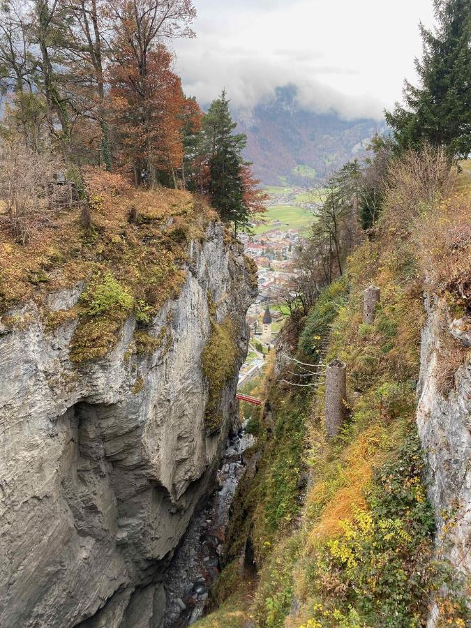 Spring Inn Apartments Meiringen Zewnętrze zdjęcie