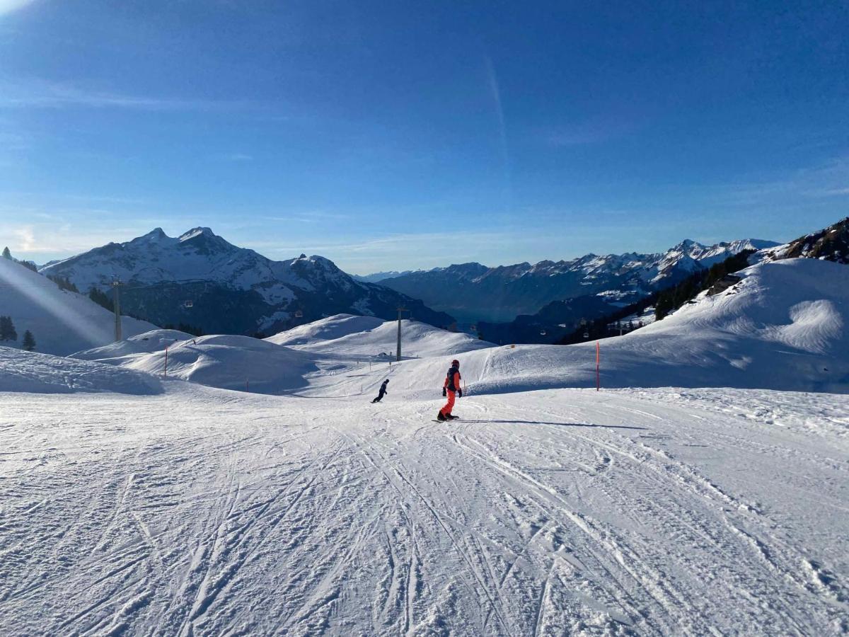 Spring Inn Apartments Meiringen Zewnętrze zdjęcie