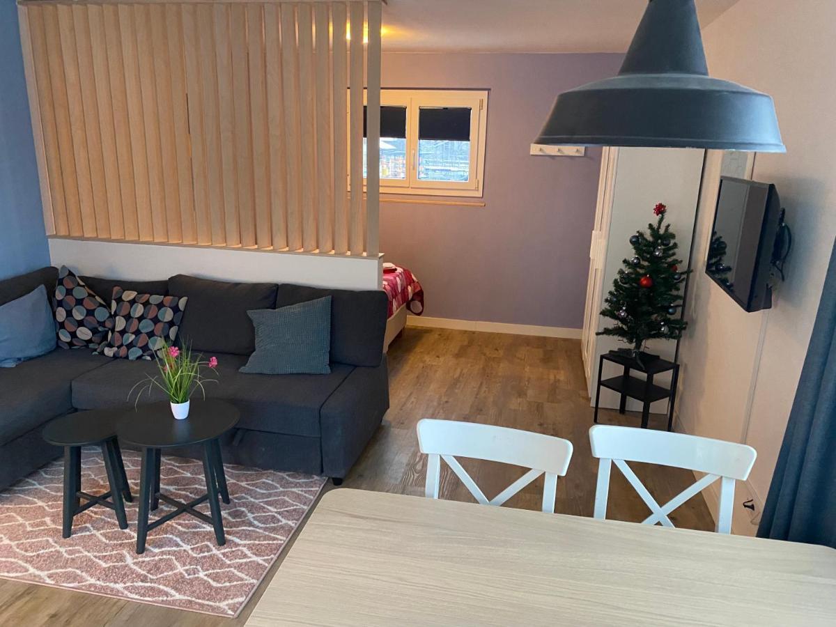 Spring Inn Apartments Meiringen Zewnętrze zdjęcie