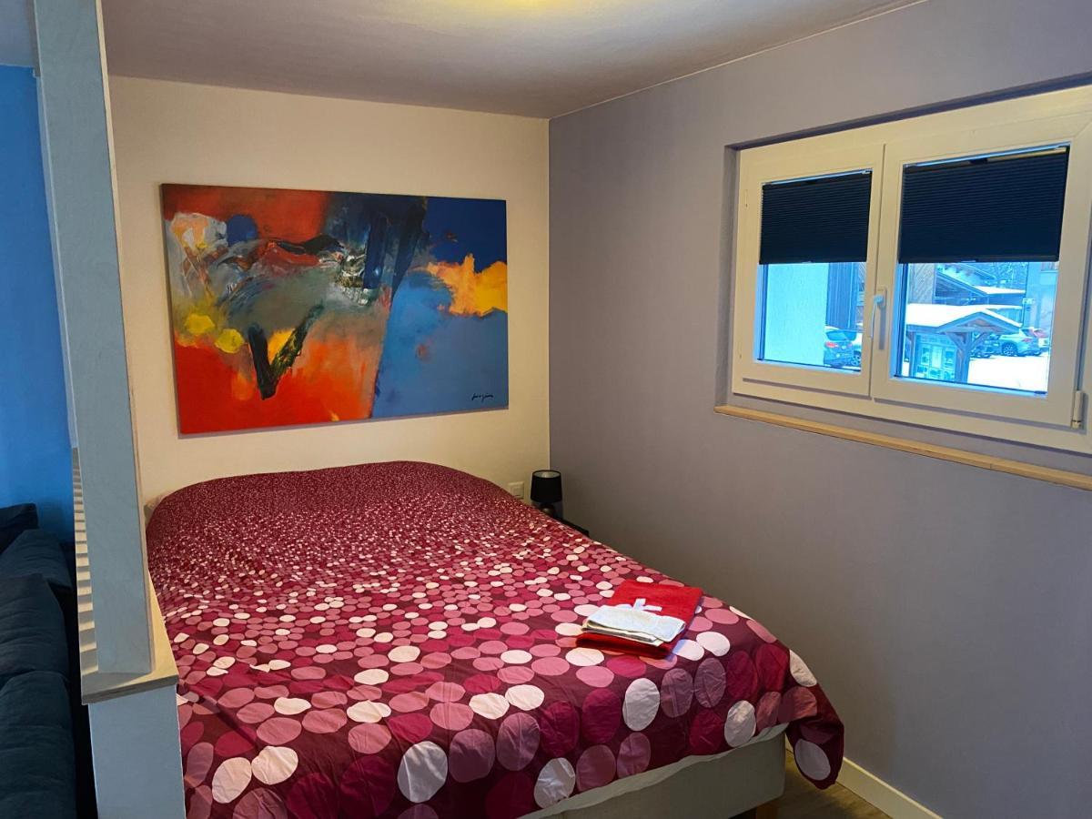 Spring Inn Apartments Meiringen Zewnętrze zdjęcie