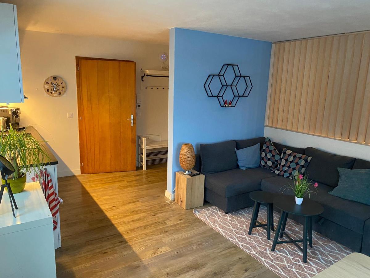 Spring Inn Apartments Meiringen Zewnętrze zdjęcie