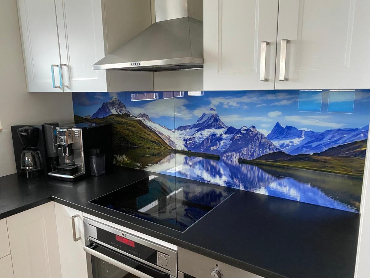 Spring Inn Apartments Meiringen Zewnętrze zdjęcie