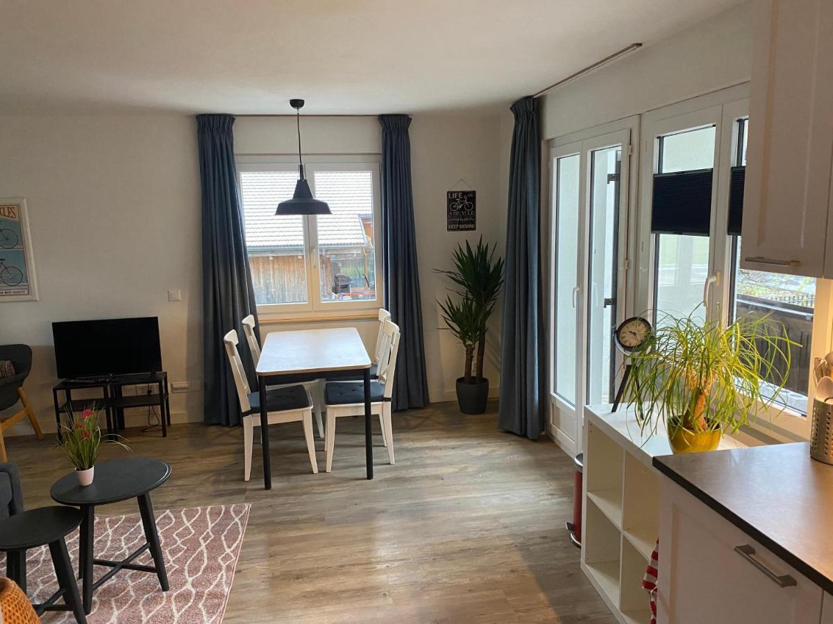 Spring Inn Apartments Meiringen Zewnętrze zdjęcie