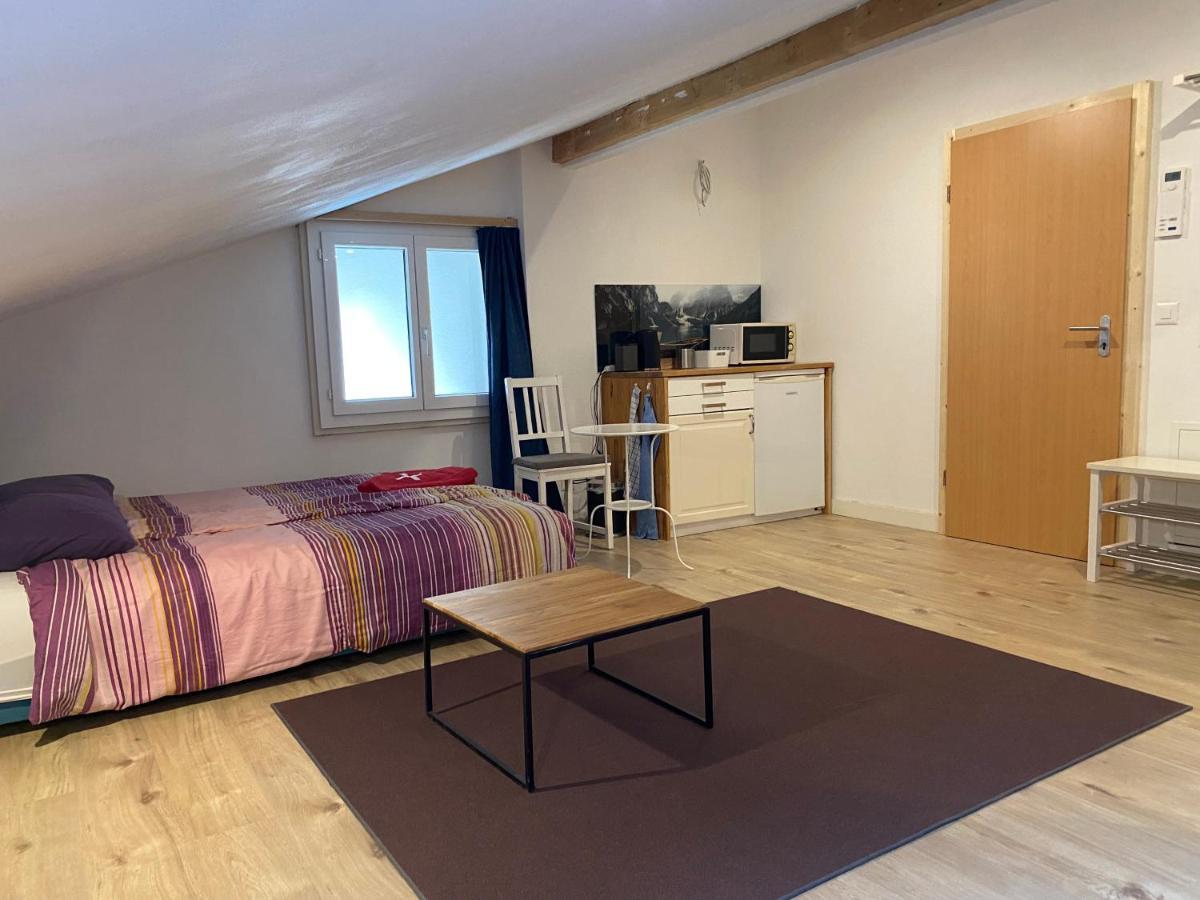 Spring Inn Apartments Meiringen Zewnętrze zdjęcie