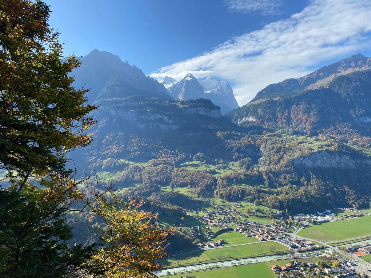 Spring Inn Apartments Meiringen Zewnętrze zdjęcie