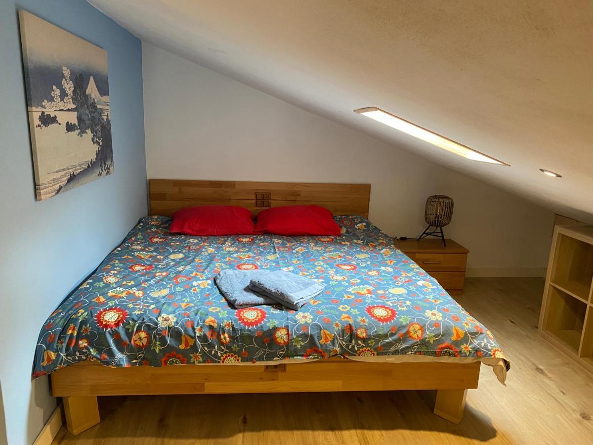 Spring Inn Apartments Meiringen Zewnętrze zdjęcie