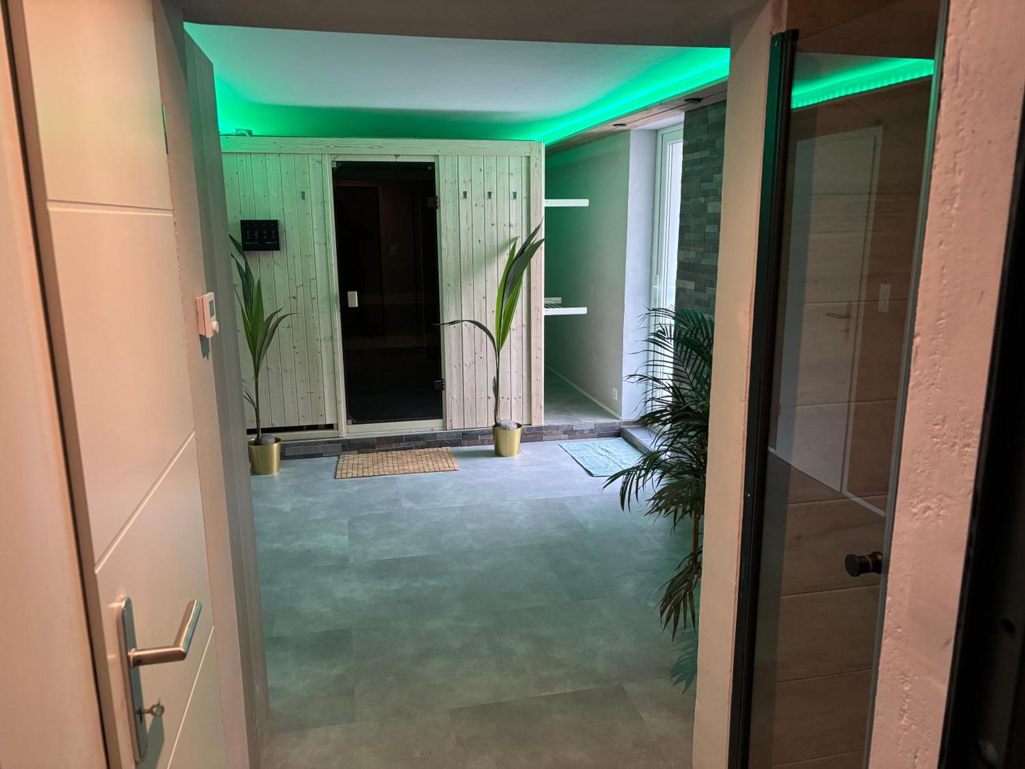 Spring Inn Apartments Meiringen Zewnętrze zdjęcie