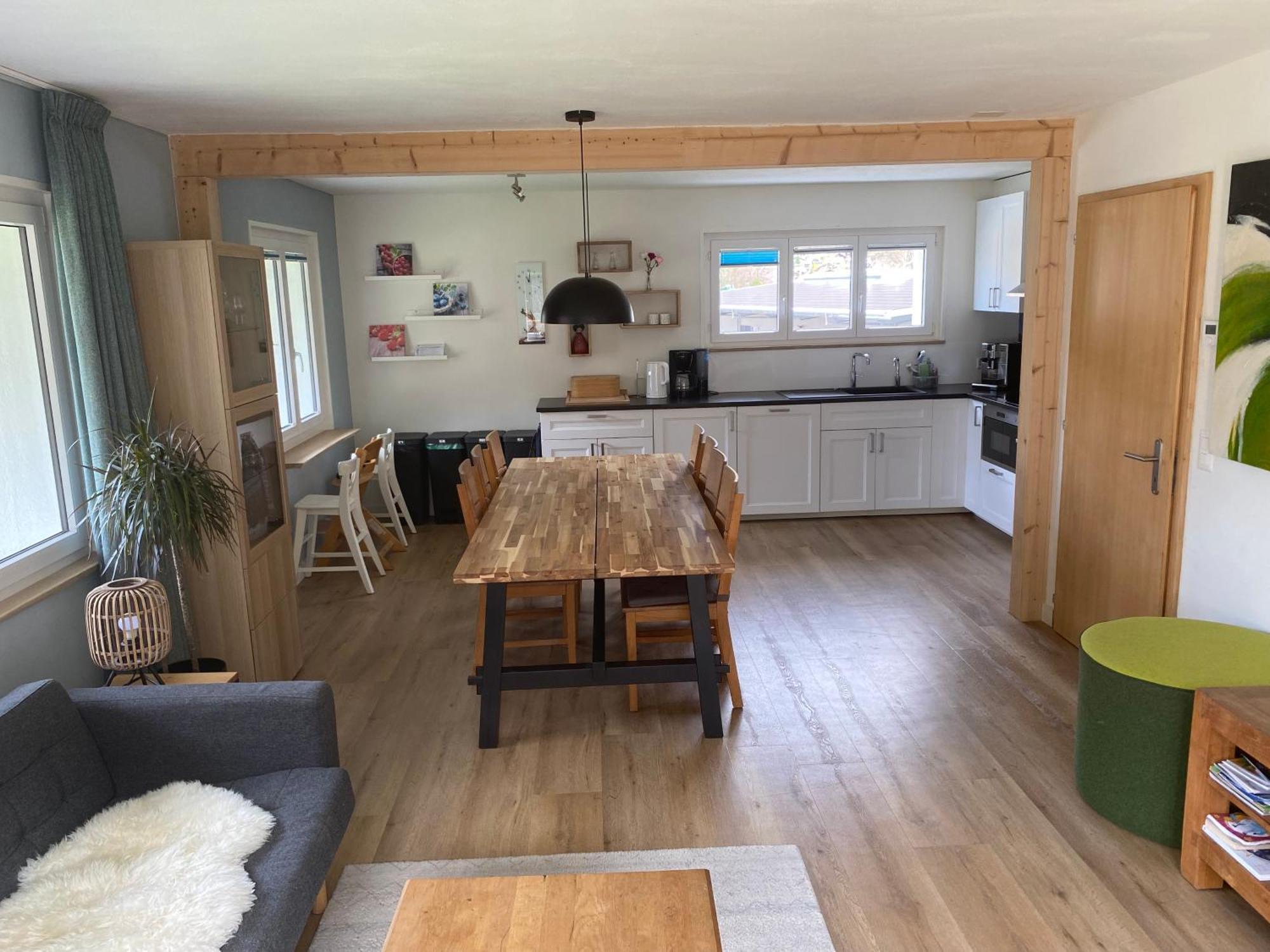 Spring Inn Apartments Meiringen Zewnętrze zdjęcie
